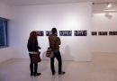 Miodrag Krkobabić: Ništa lično, Legat Čolaković